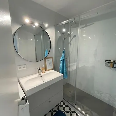 דירה Duplex Renove T3,parking , Face A La Mer, 2 Terrasses קאנט אן רוסיון